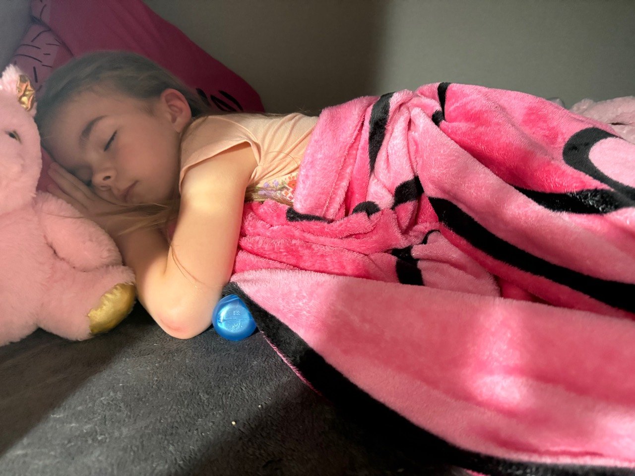 Lily sleeping comfortably in her bunk inside the Aurora travel trailer